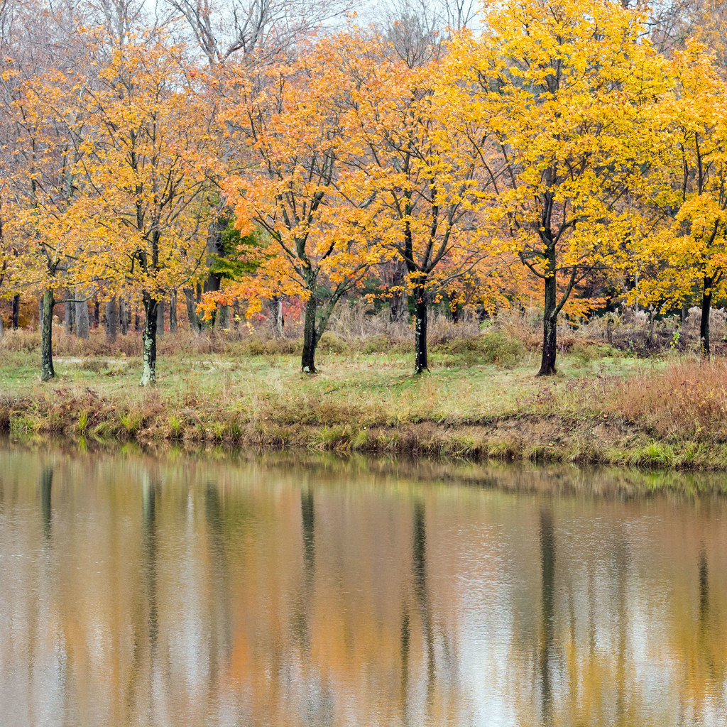  Orchard Hills Park Moe Flickr
