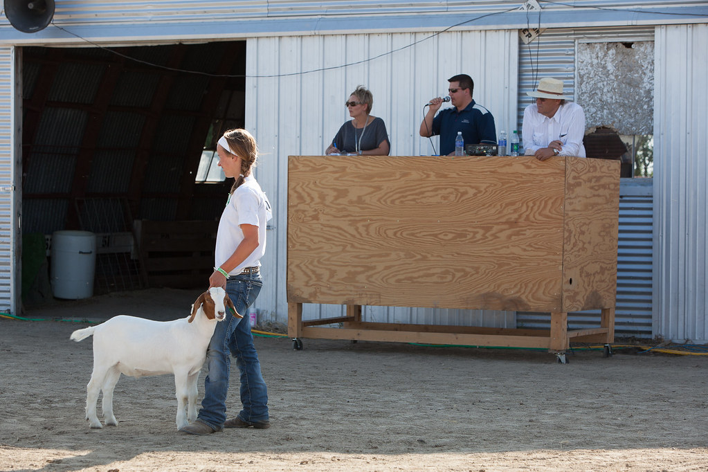 Bowman County Fair 2013 Flickr