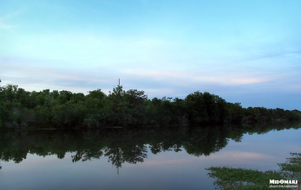 Blanchard Park, Orlando FL Ahmad Alomari Flickr