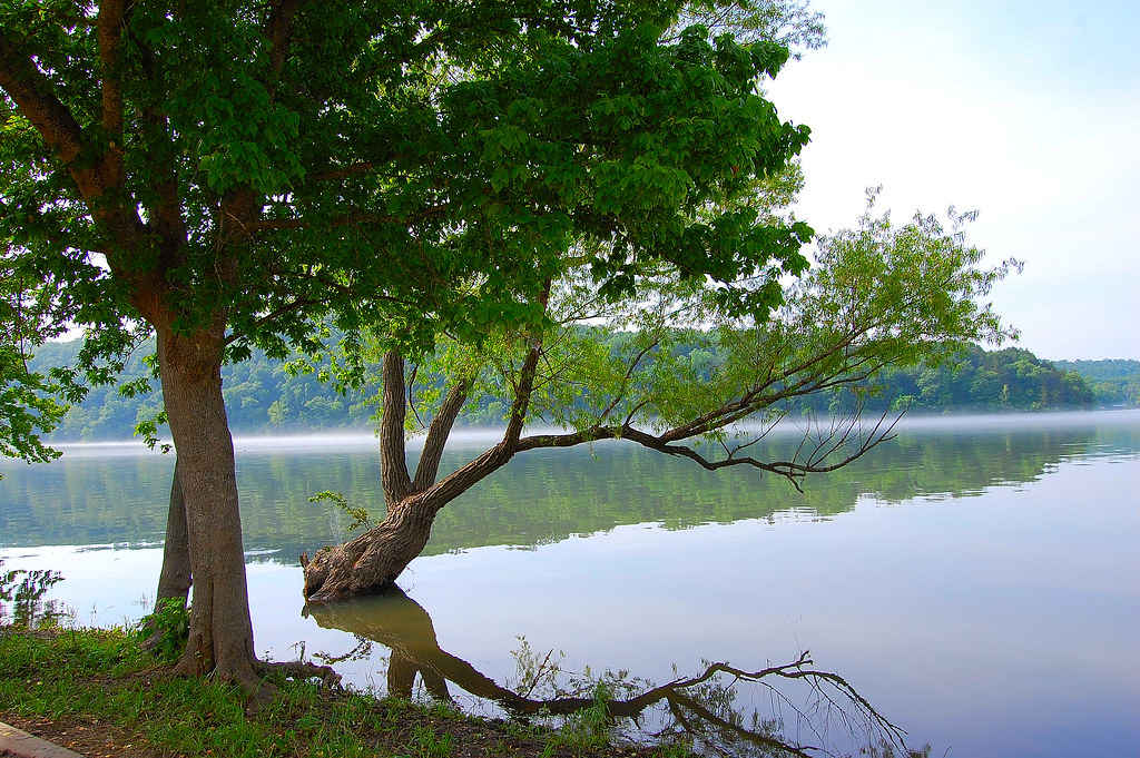 Lake 2011 High water at Empire Park off State Hi… Flickr