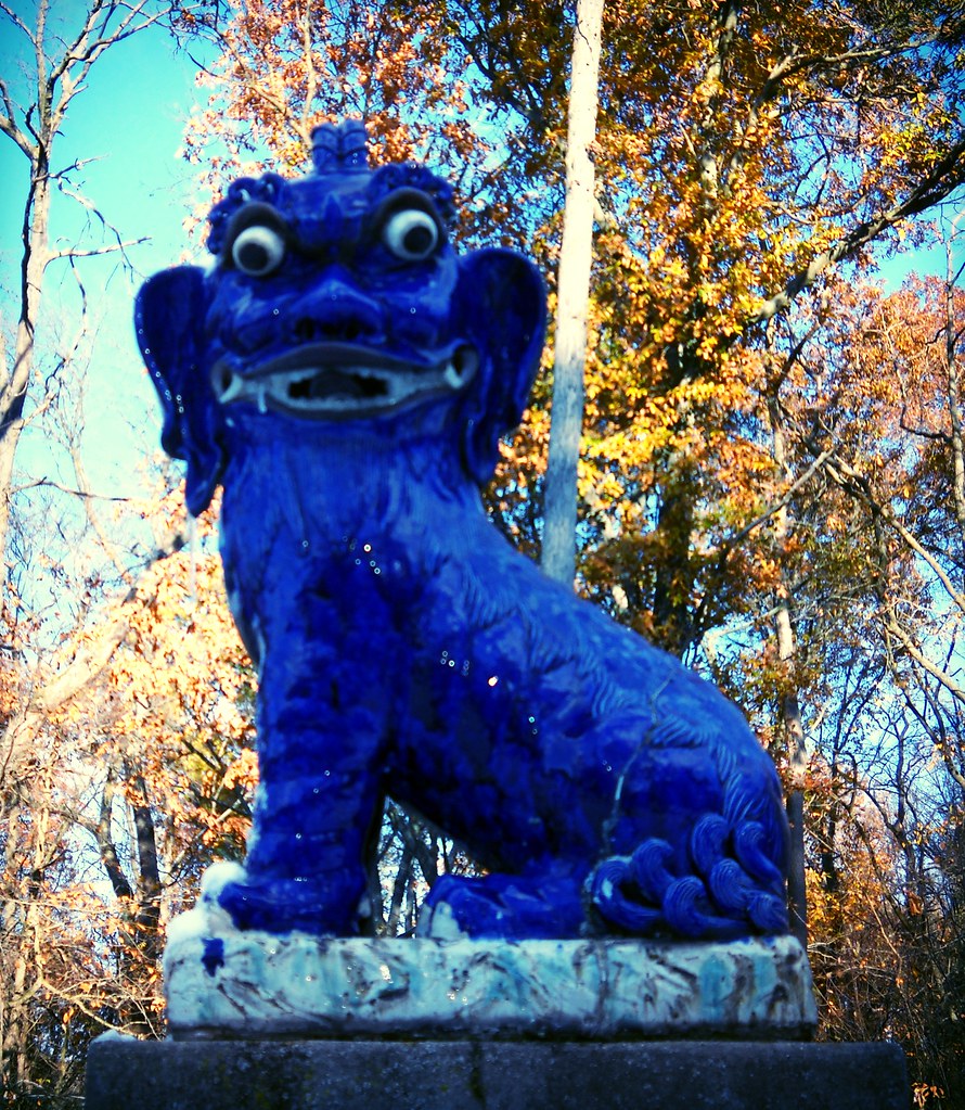 Fu Dog Kristine Flickr