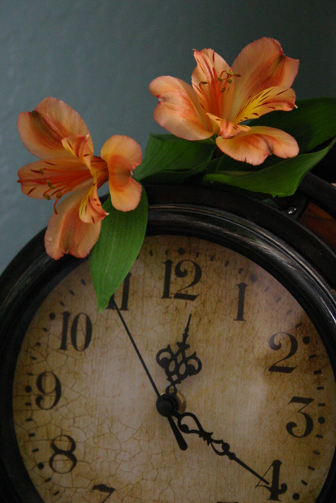 The Flowers of Time Hannah Sagor 9th grade, Paulden AZ Jodi Smith