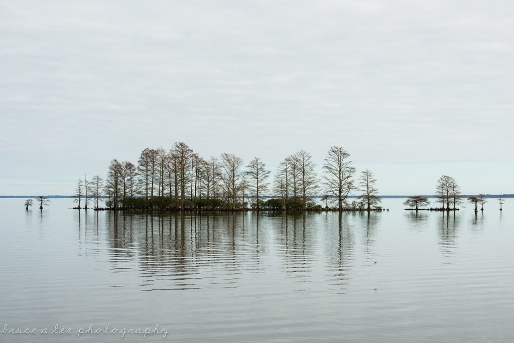 Lake Mattamuskeet 2014 Flickr