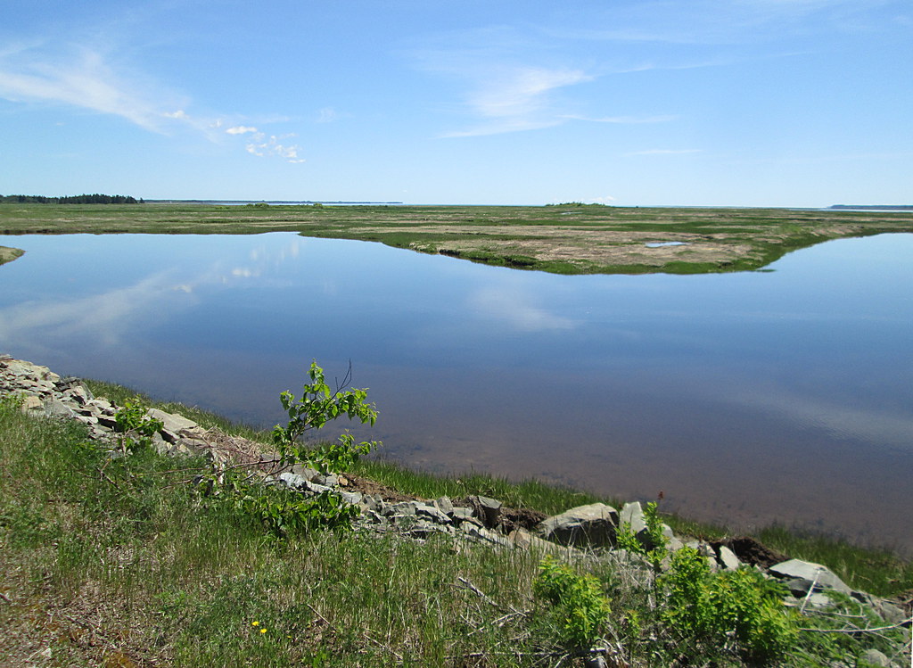 Baie Verte, NB June 20, 2015 Larry Flickr