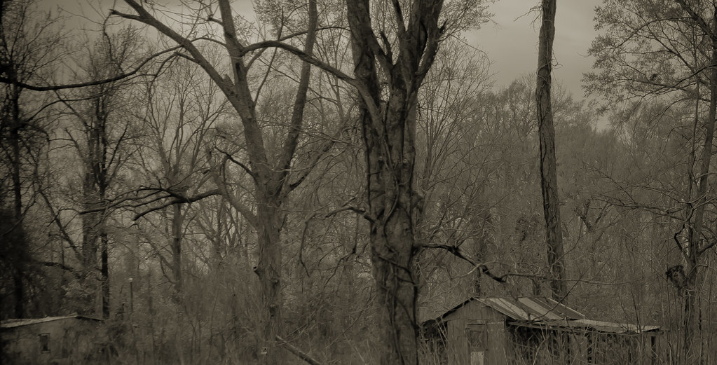 IMG_0505 LA Highway 1 Innis, Louisiana Pointe Coupee Paris… Flickr