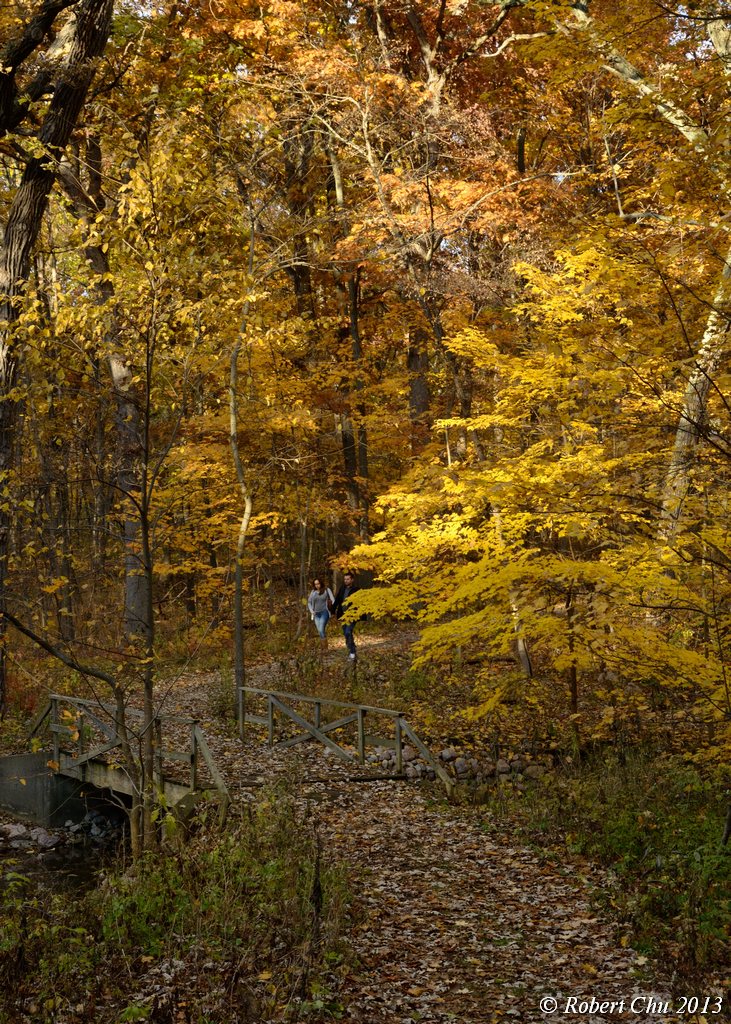 ReedTurner Woodland Nature Preserve 0795 20131103_DSC_0