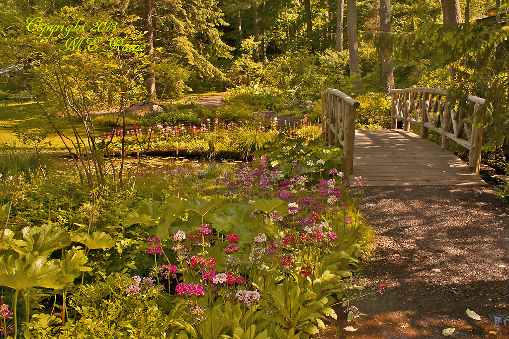 Landscape (2 of 2) at Leonard J. Buck Garden of Far Hills … Flickr