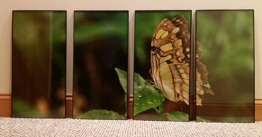 My latest print. Printed on Red River Metallic Paper. Each… Flickr