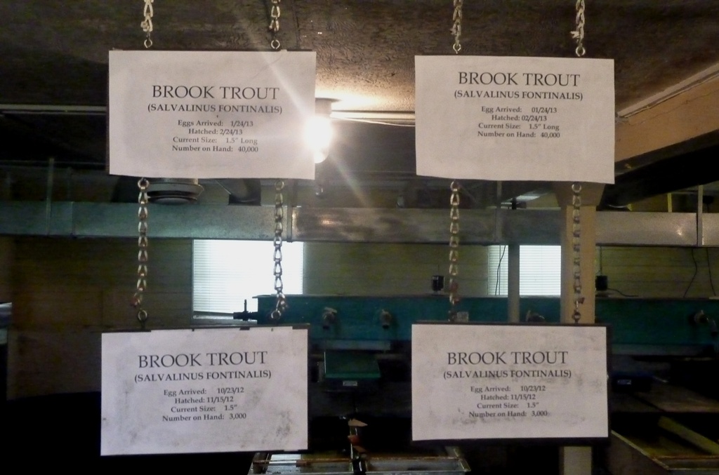 Carpenter's Brook Fish Hatchery Carpenter's Brook Fish Htc… Flickr