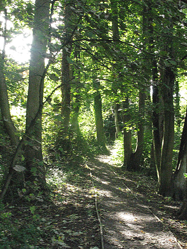 Silver Street Nature Reserve stephen lowe Flickr