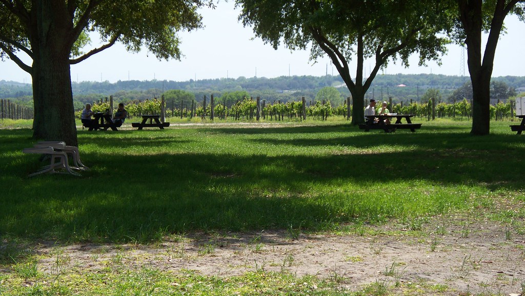 Lakeridge Winery Clermont, Florida www.lakeridgewinery.c… Flickr