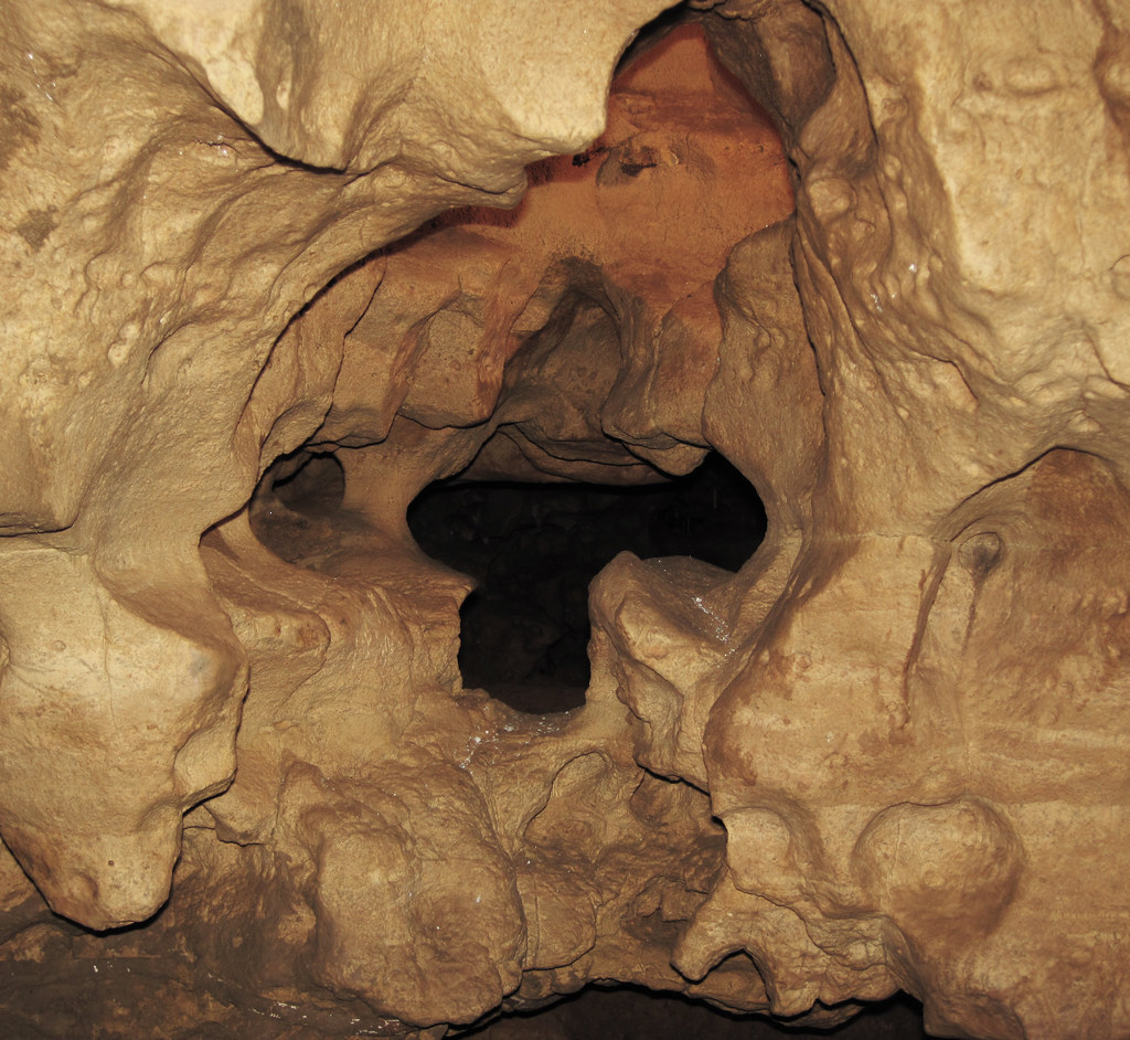 Solution windows in dolostone (Prairie du Chien Group, Ordovician