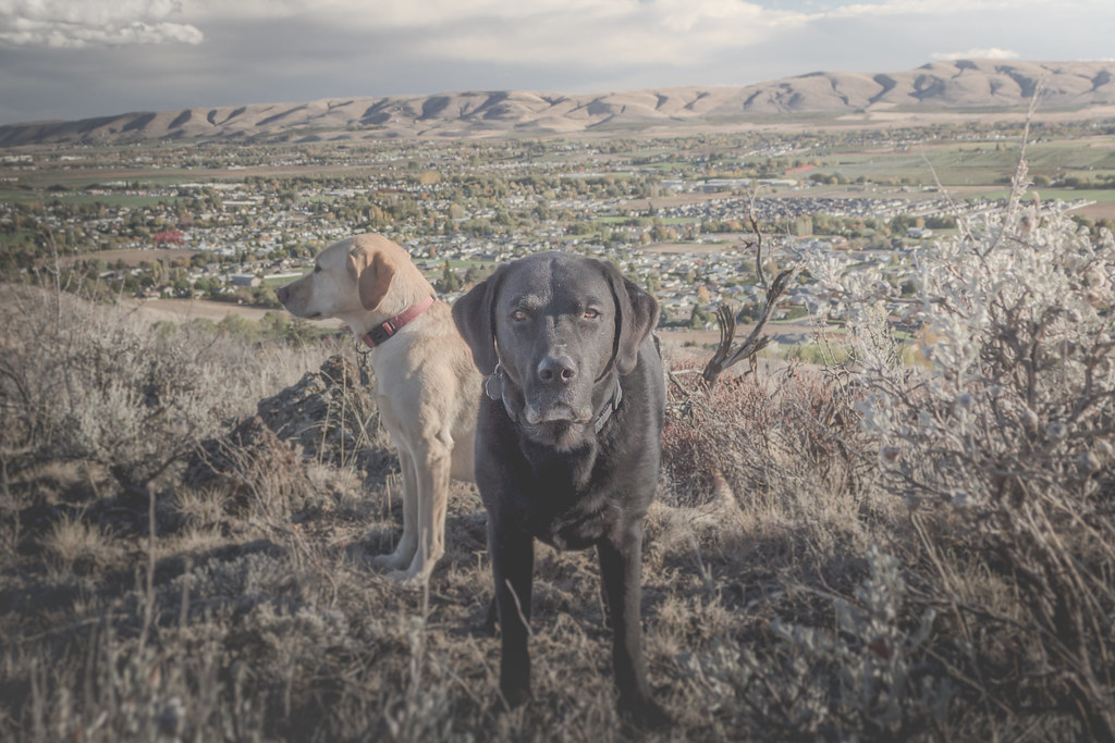 Desert dogs over Yakima Valley One Hike A Week Flickr