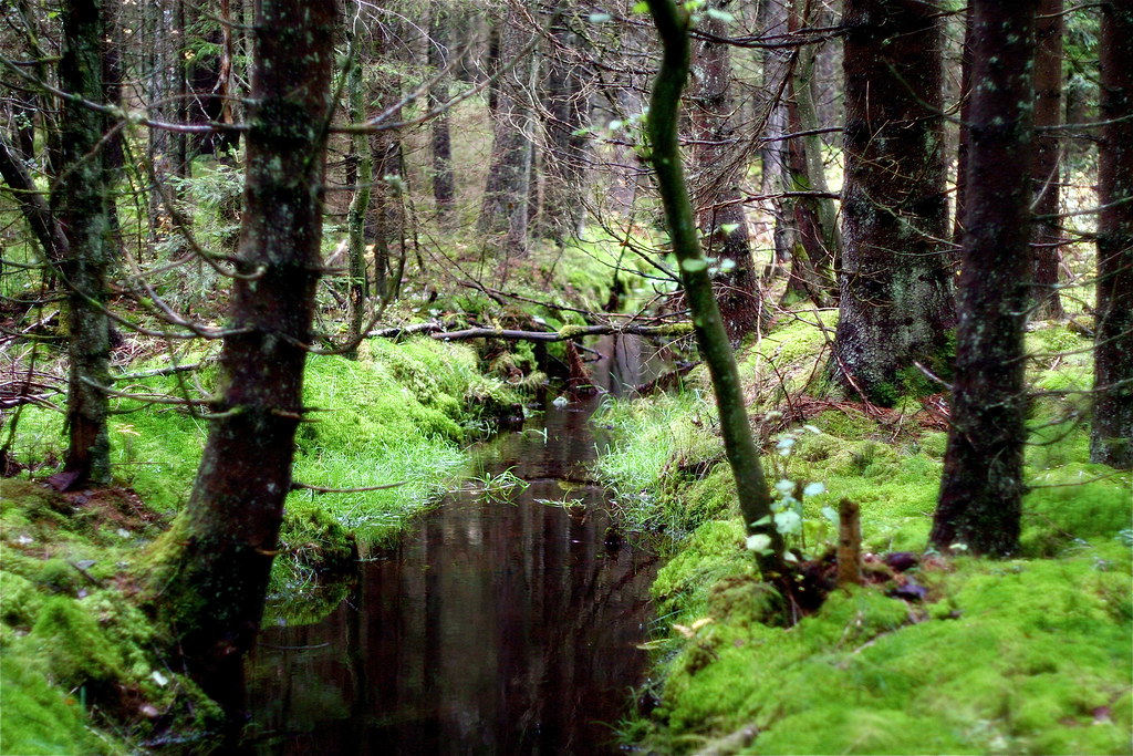 Munkedal, Sweden Stig Hauger Flickr