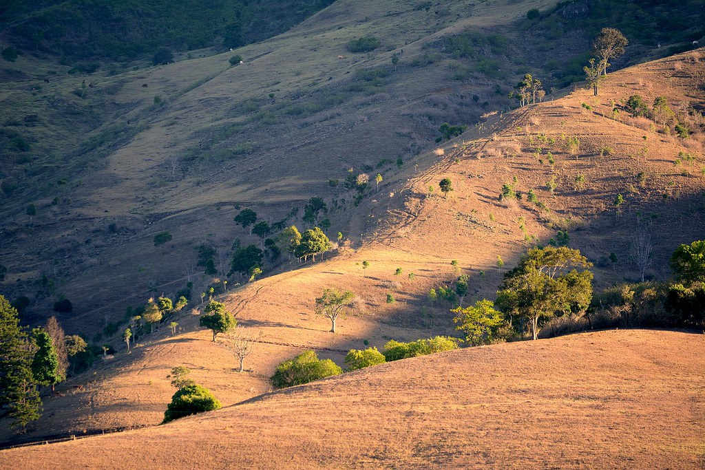 Running Creek hill pastures the driest summer in a long, l… Flickr