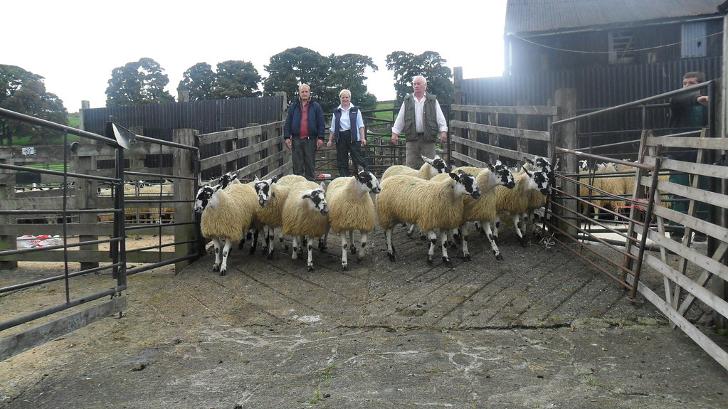 019 Barnard Castle Auction Mart Flickr