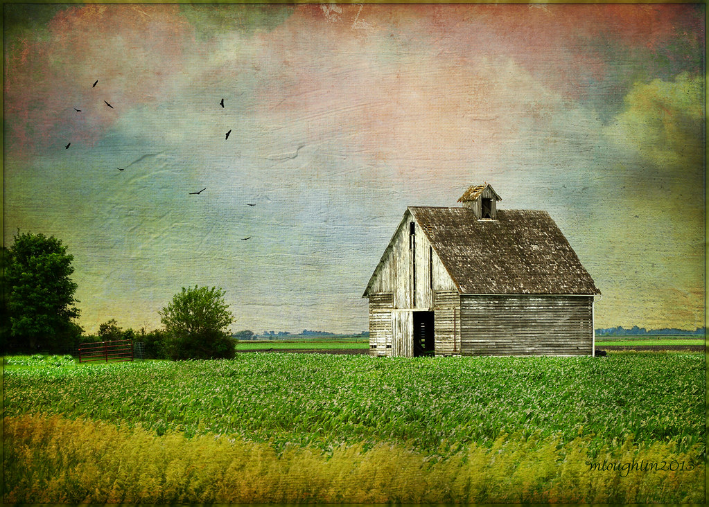 Remnant of a former life.... Corn cribs were used to store… Flickr