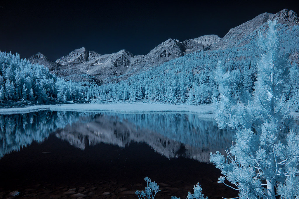 Marsh Lake On A Clear Morning Infrared This was taken on… Flickr