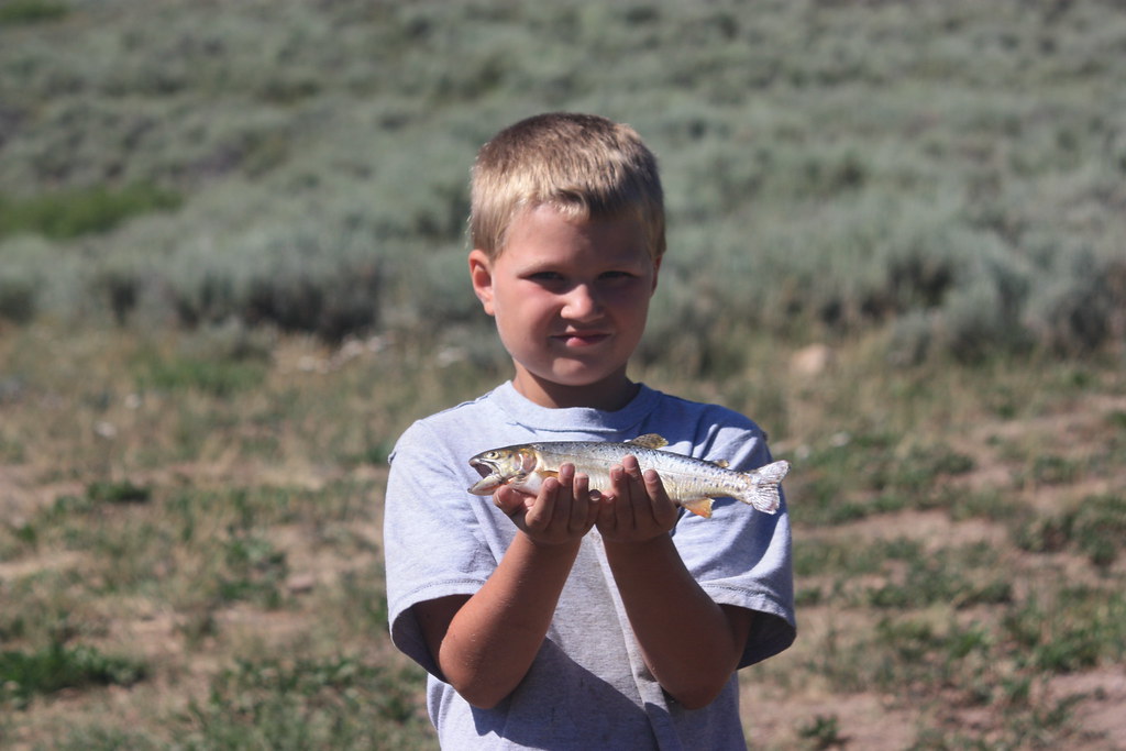 Colorado River Cut, LaBarge Creek 72013 Kristi Horn Dixon Flickr