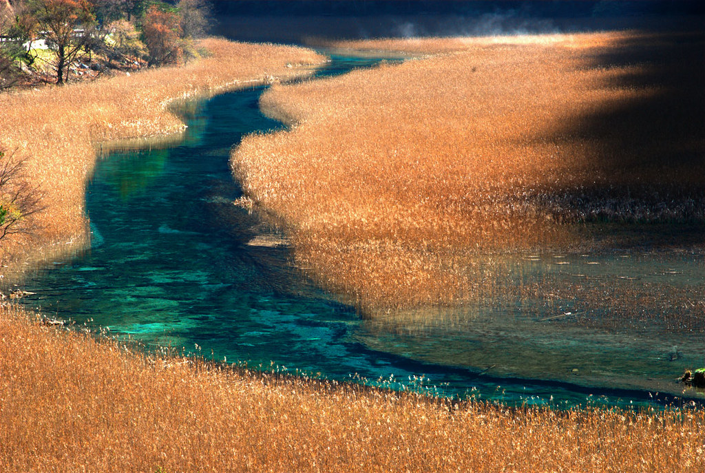 Reed Lake, by Suo Ji Lake St Clair Lodge Flickr