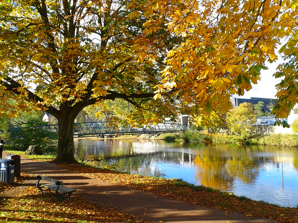 Morpeth, Northumberland A view of the Elliot bridge from t… Flickr