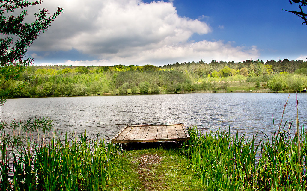 Meadowcliffe Pool, Steam Mills, Cinderford, Gloucestershir… Flickr