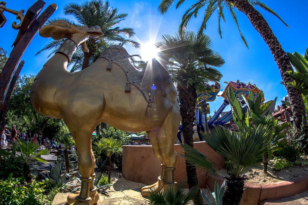 Aladdin Camel todays Disney Pic form the Parks Aladdin … Flickr