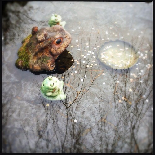 Frogs are the symbols of Good Luck , Kyoto Japan. Sampo Sakari Flickr