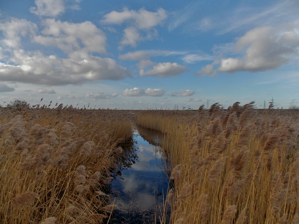 Rainham Marshes at Purfleet, Essex, England February 201… Flickr