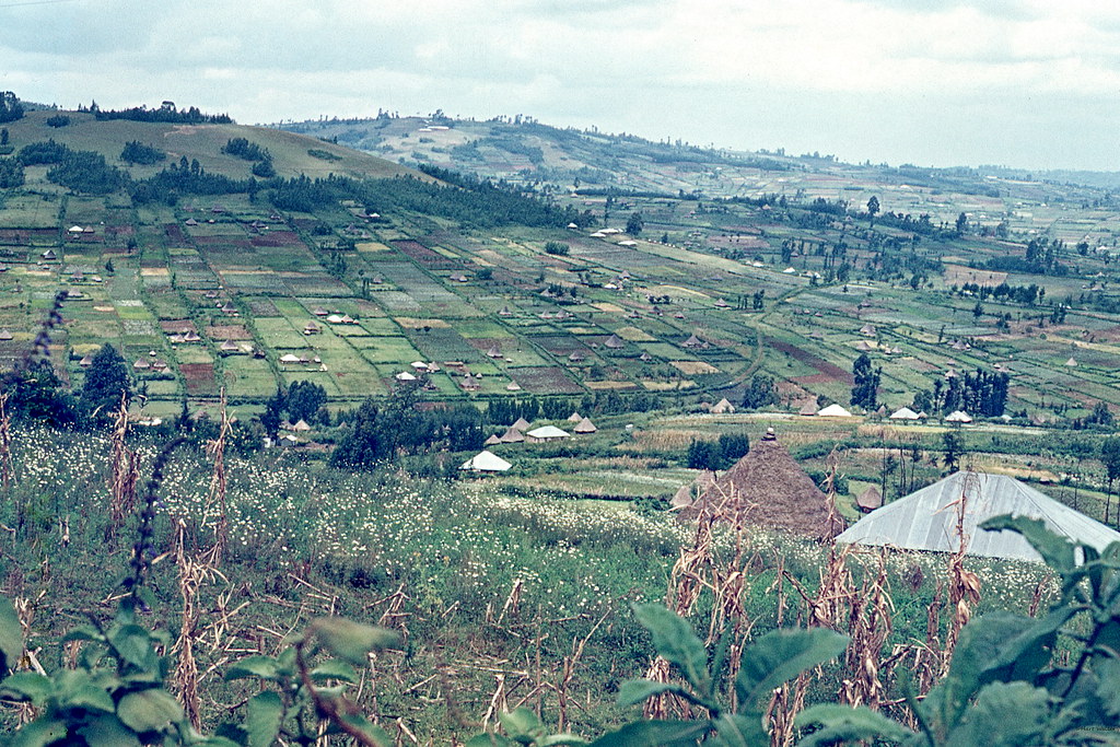 Fertile farms, Highlands of Kenya, 1974 img198 Hartmut Walter Flickr
