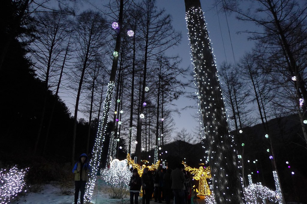 starlight festival 2023 Garden of Morning Calm Starlight Festival The Garden of Mo… Flickr