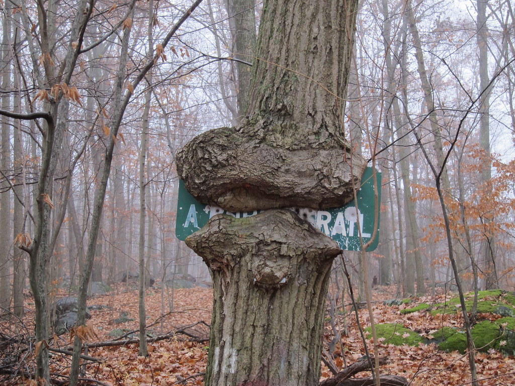 Peekskill Hike Paul Brady Flickr