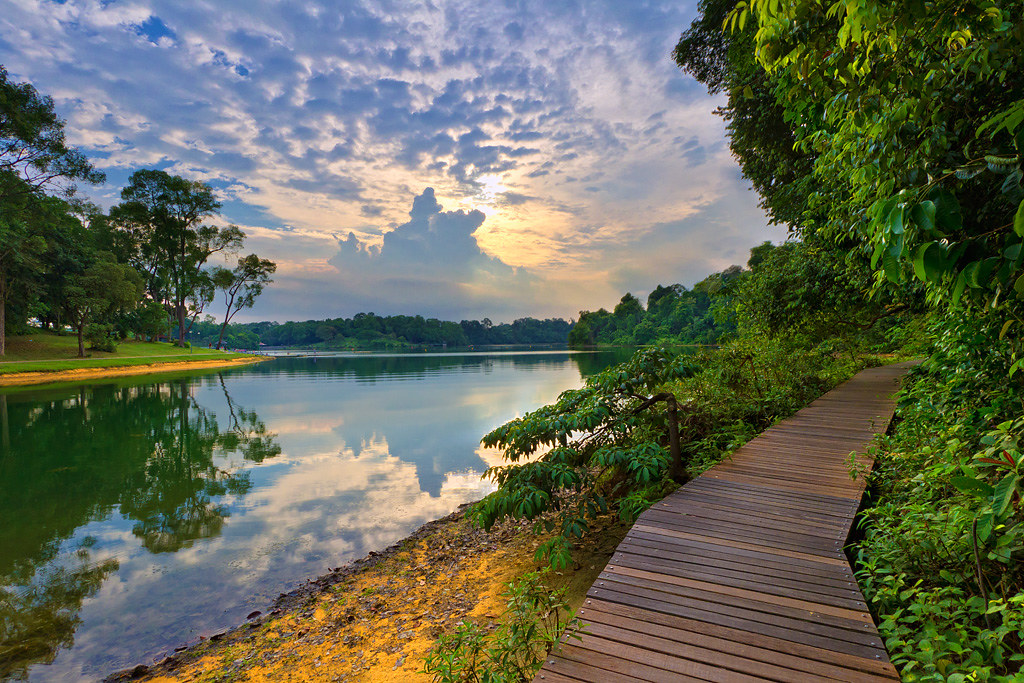 MacRitchie Reservoir Park, Singapore MacRitchie Reservoir … Flickr