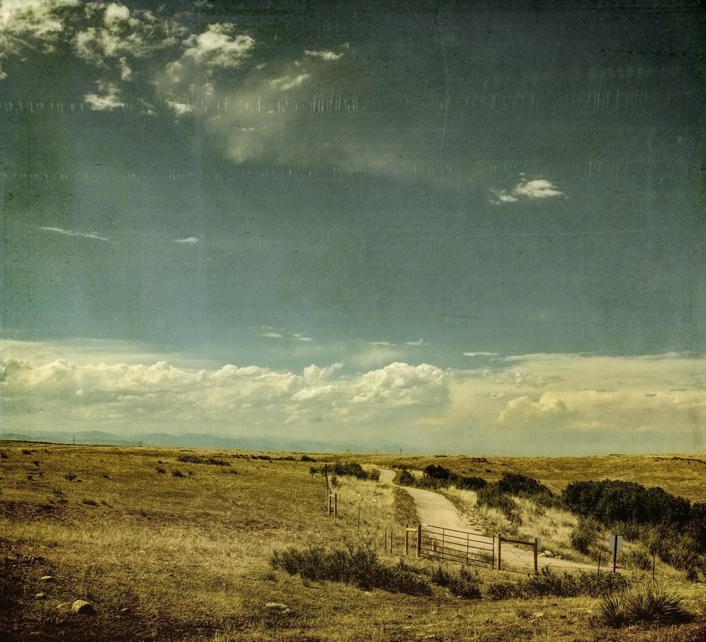 a place to follow .found in Lone Tree, Colorado alterna… Flickr