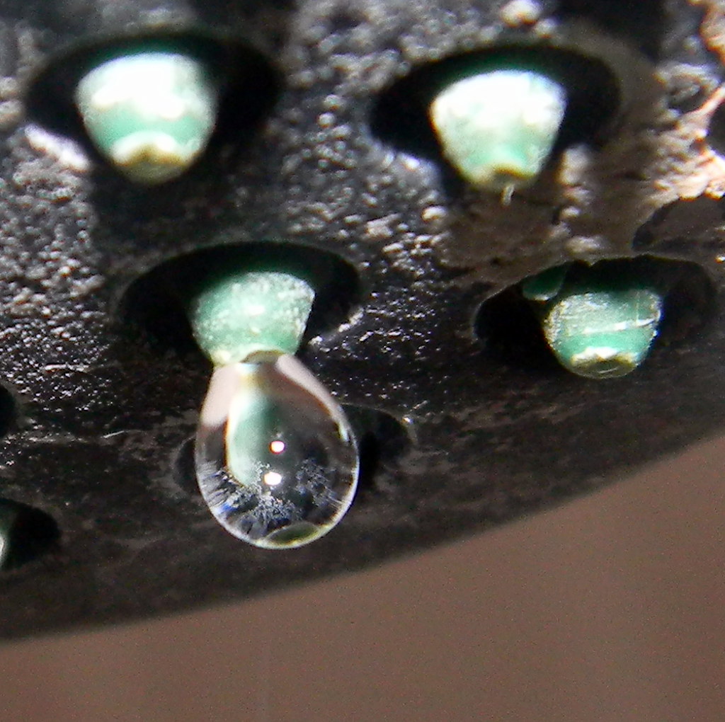 7th April 2013 Water droplet drip shower head 7th April 20… Flickr