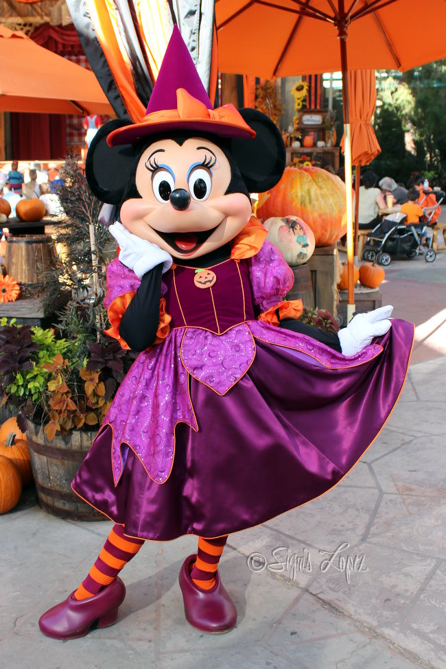 Minnie Mouse Halloween 2013 Minnie Mouse in her witch's co… Flickr