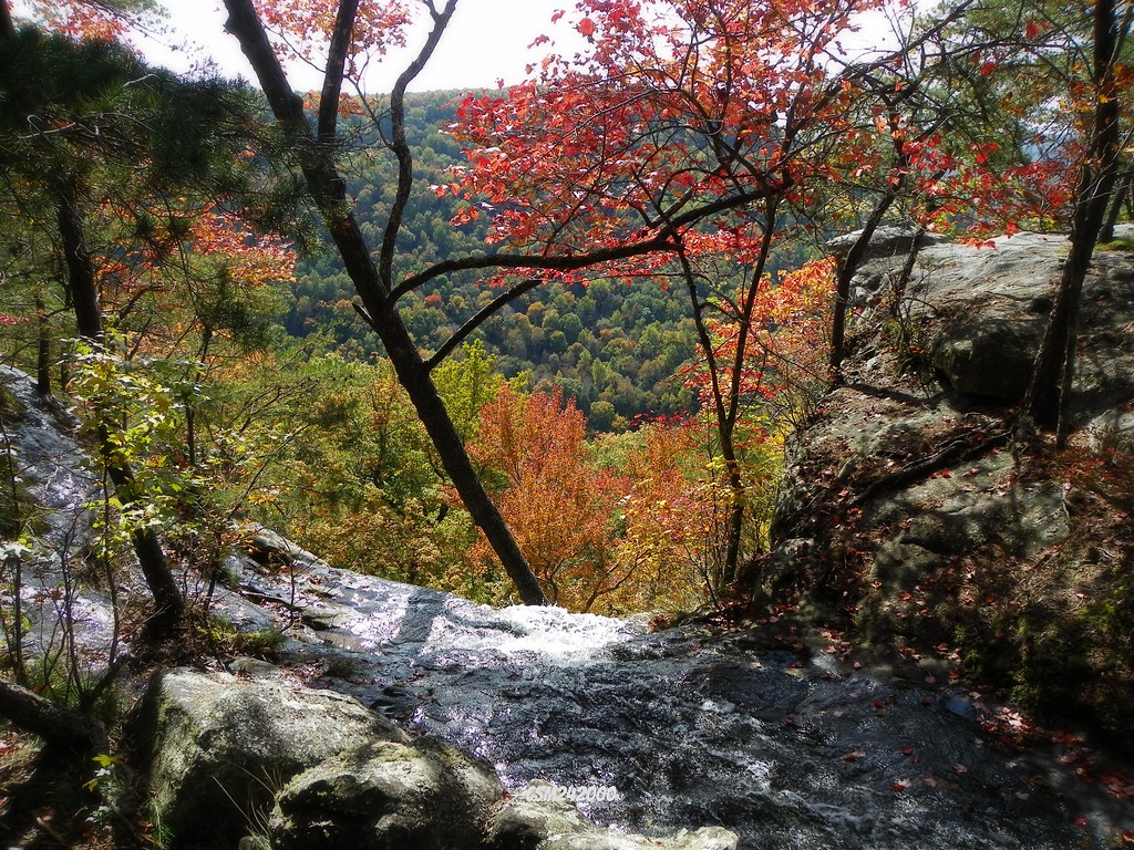 Off it goes Mountain runoff South Cumberland State Park csm242000