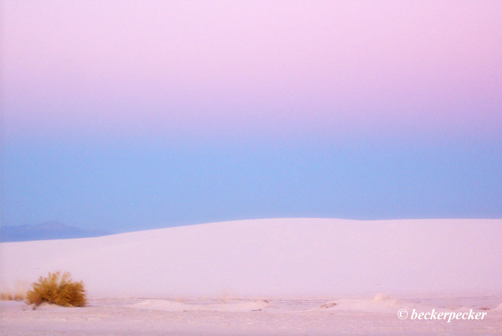 White Sands, New Mexico Walking through the dunes is an un… Flickr