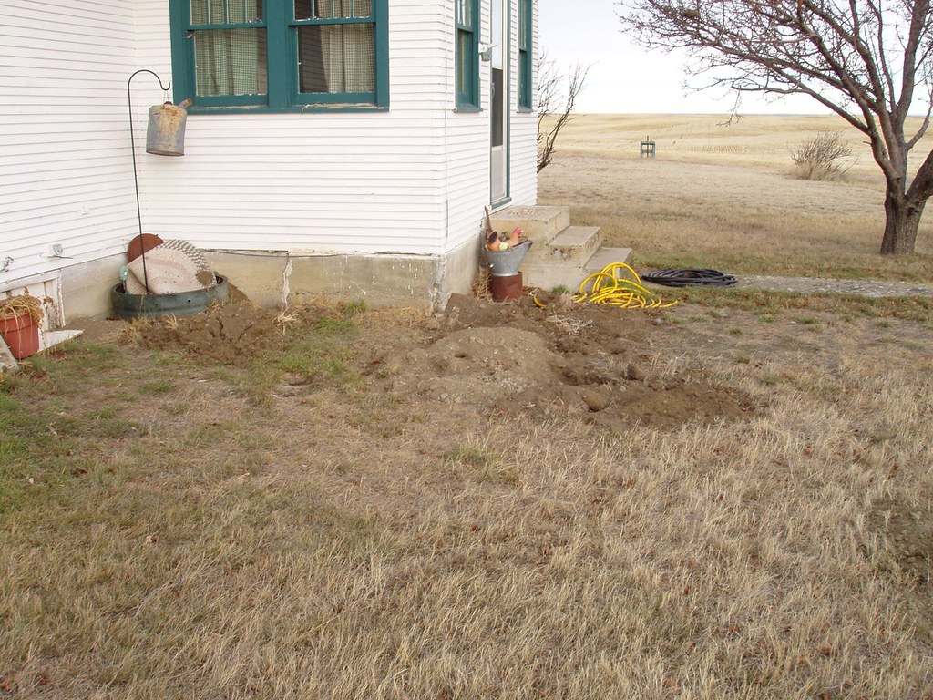Badger Holes Badger holes out at the farm Jennifer Waters Flickr