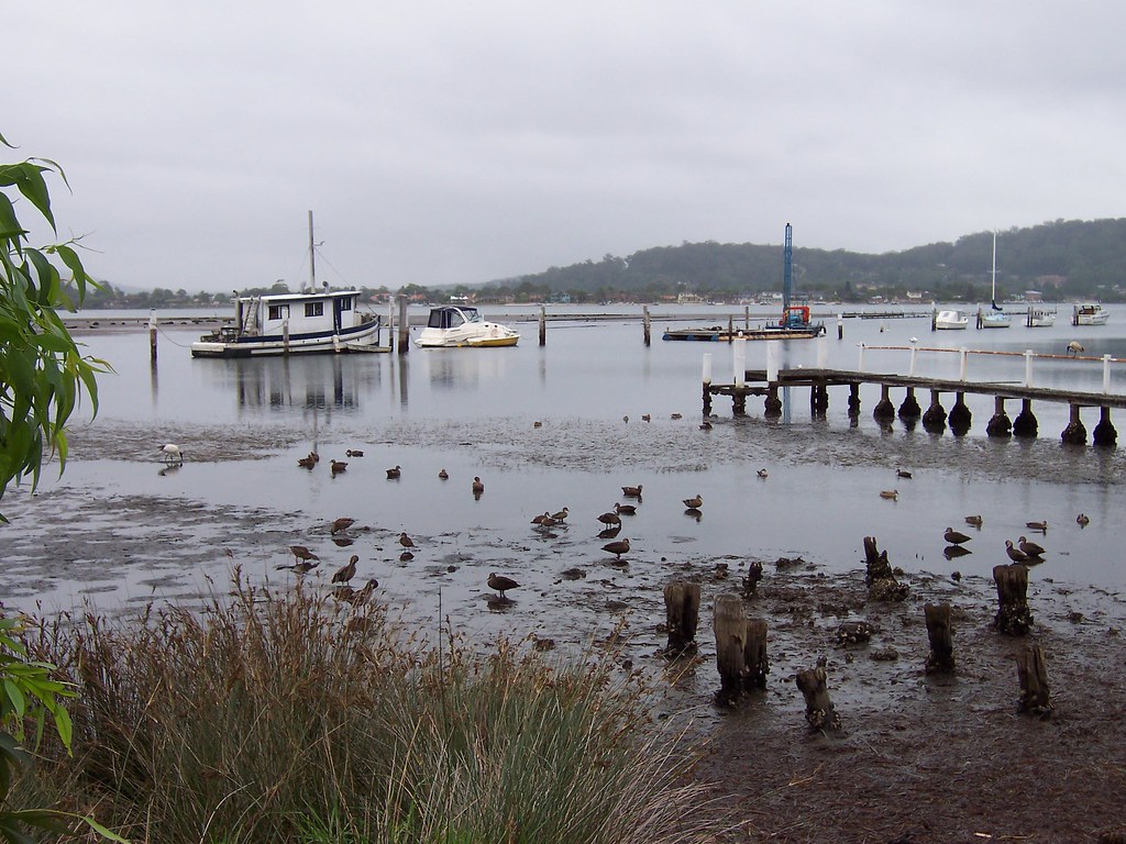 Low tide at Blackwall Mudflats and the remains of an old p… Flickr