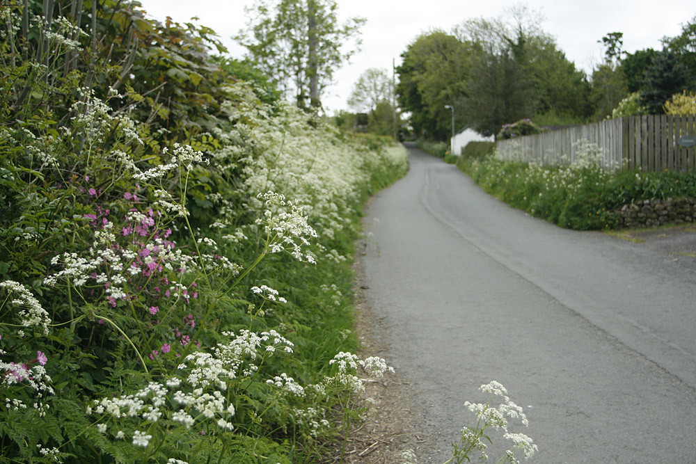 Cockermouth Lonning Cockermouth Lonning at Brigham, Cumbri… Alan