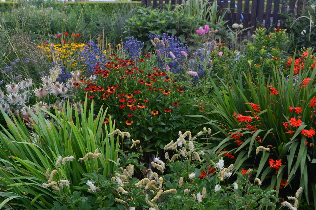 Avondale Garden 2 AUG 2013 199 Avondale Nursery Flickr