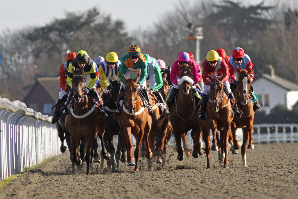 Jumpers' Bumper Kempton Park, 16 February 2014. "Jumpers' … Flickr