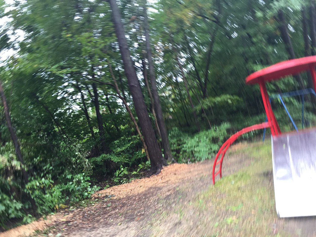 IMG_2247 Riverview Parks Flickr