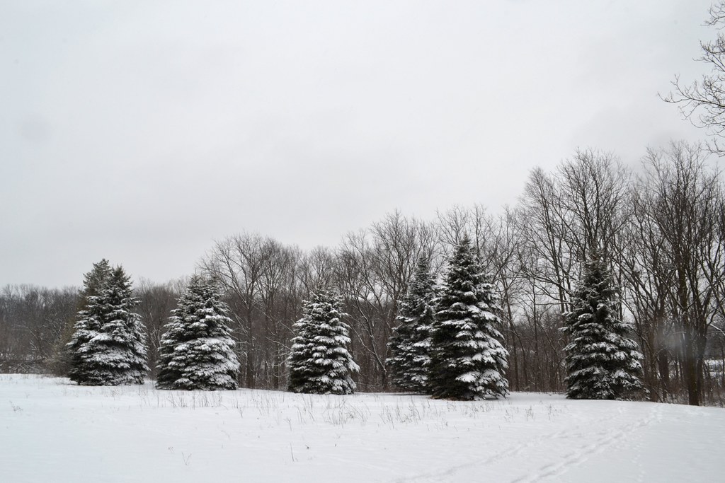 snowstorm Palmer Park Janesville, WI last good snowfall … Flickr