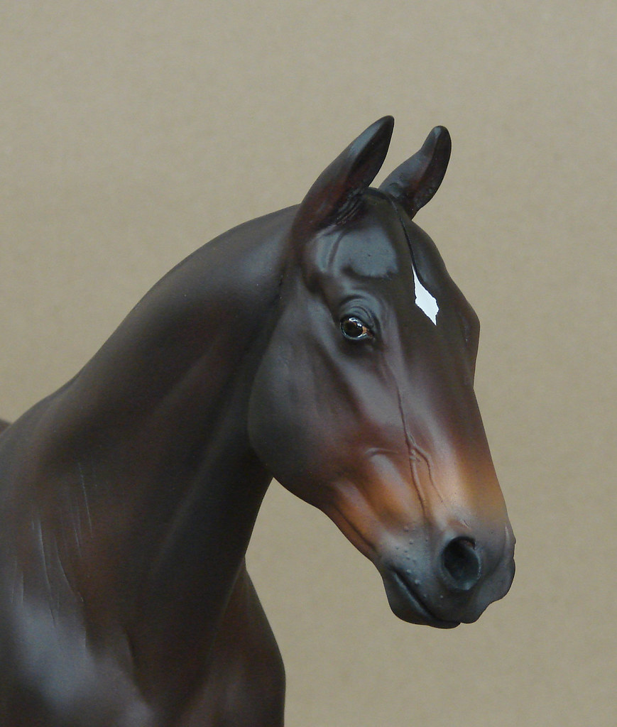 bald horses (ready for the hair work) bald horses (ready f… Flickr