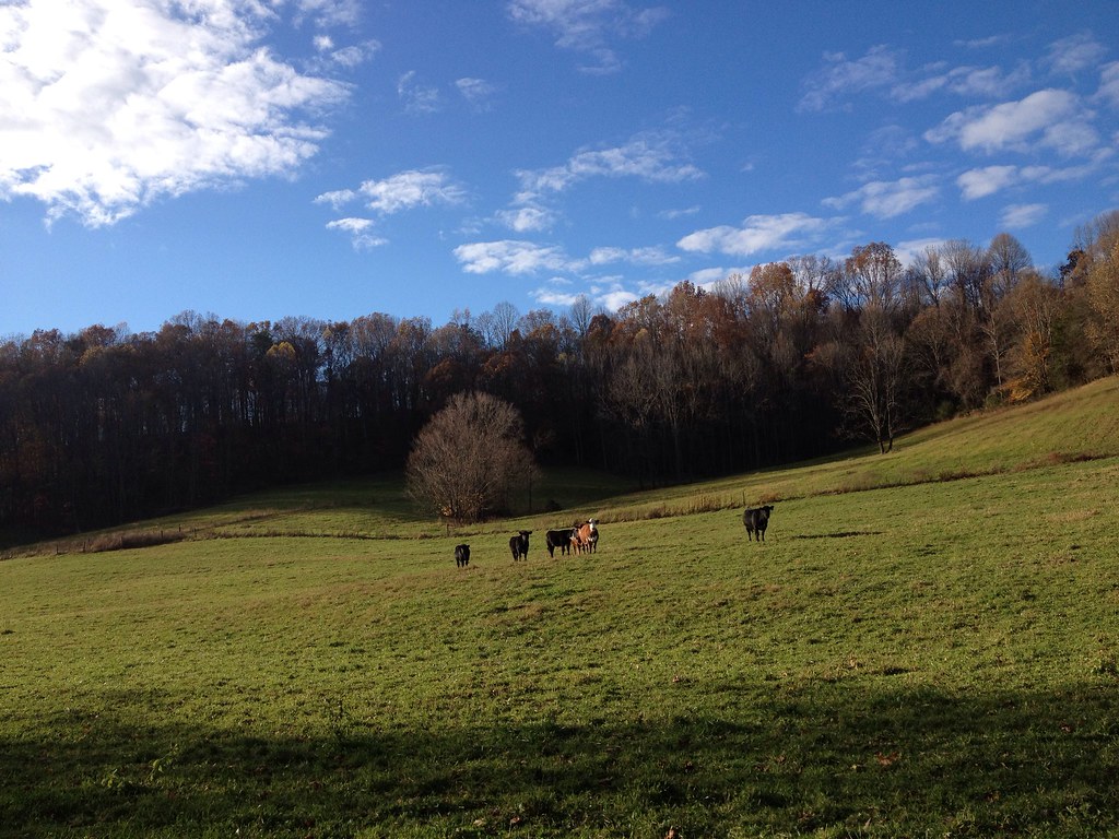 Farmers Miners Bank Pennington Gap Virginia at April Flora blog