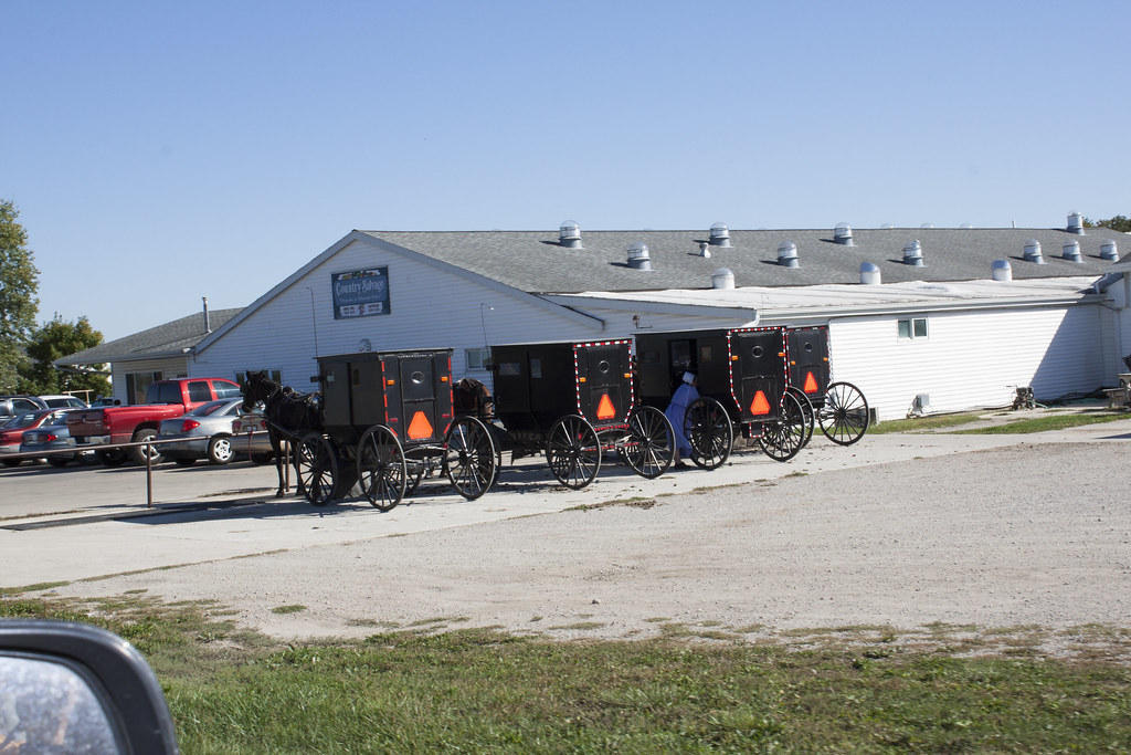 Arcola IL Amish Country IMG_1050 Al & Judy Degutis Flickr