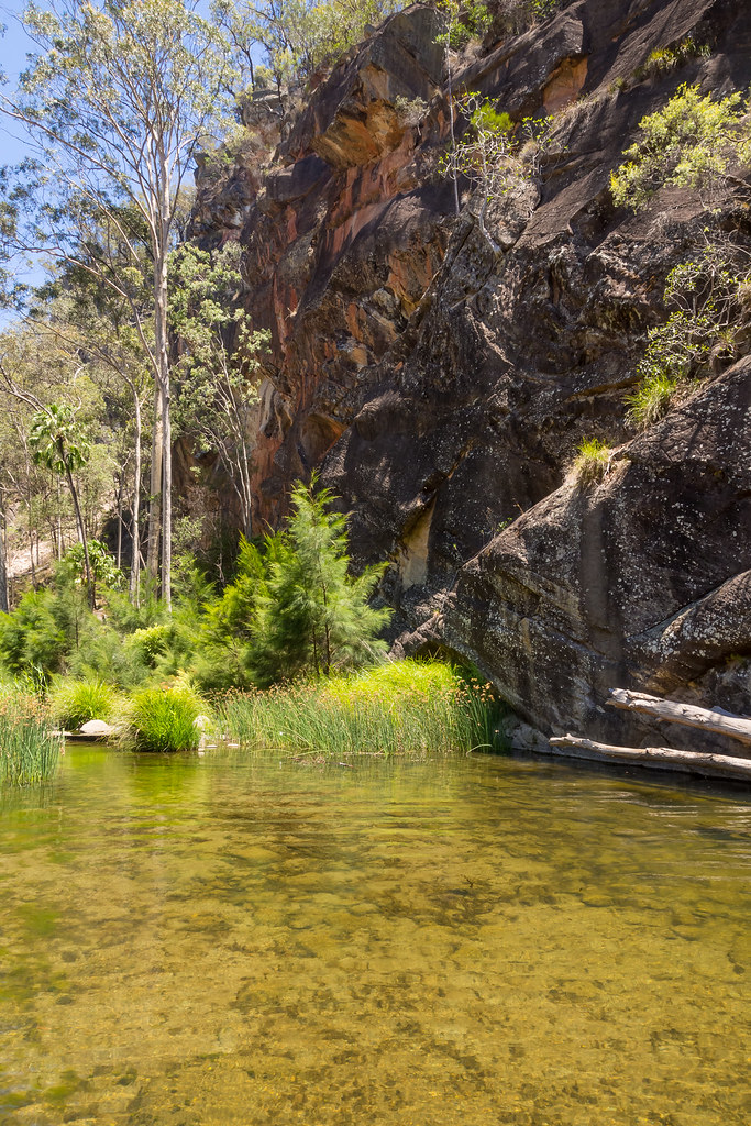 qld trip dec 2013 210528 carnarvon the rock pool… Flickr