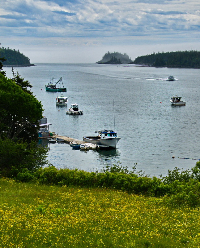 150630 Cutler Maine Flickr